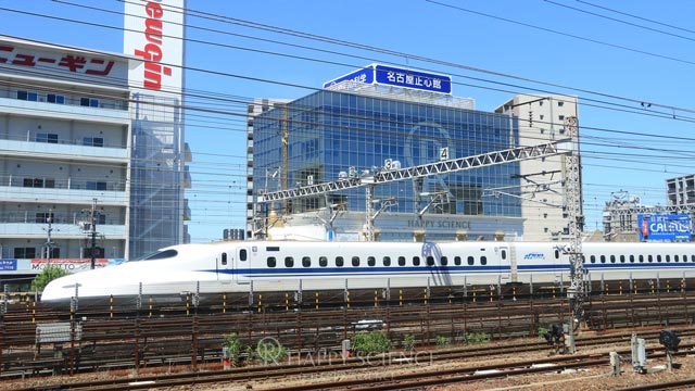 名古屋正心館