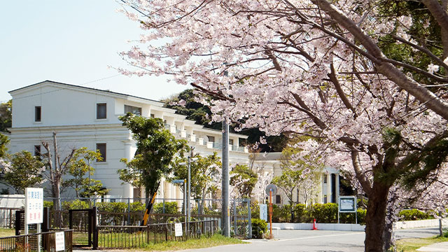 中部正心館